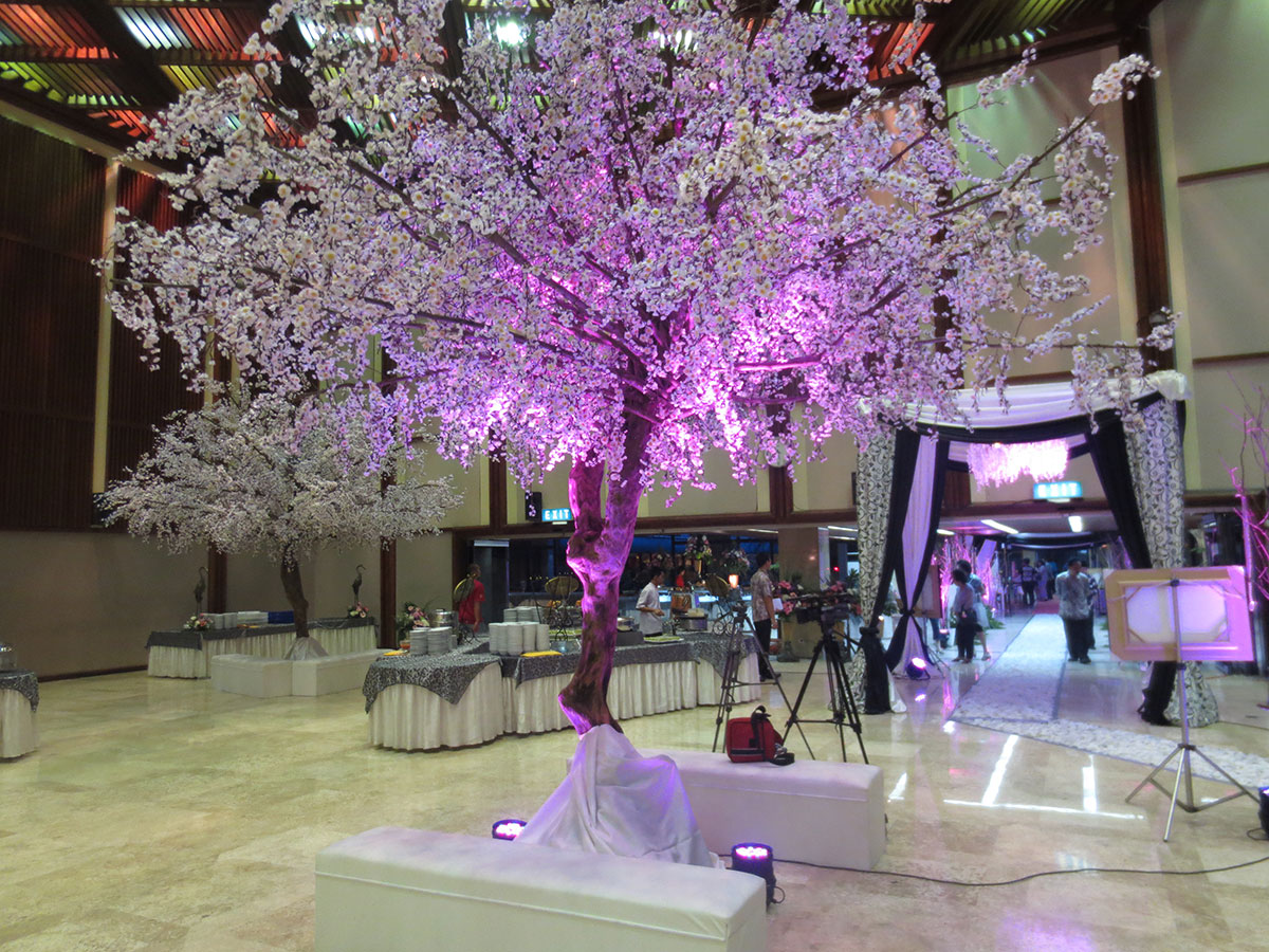 Pohon Maple & Sakura
