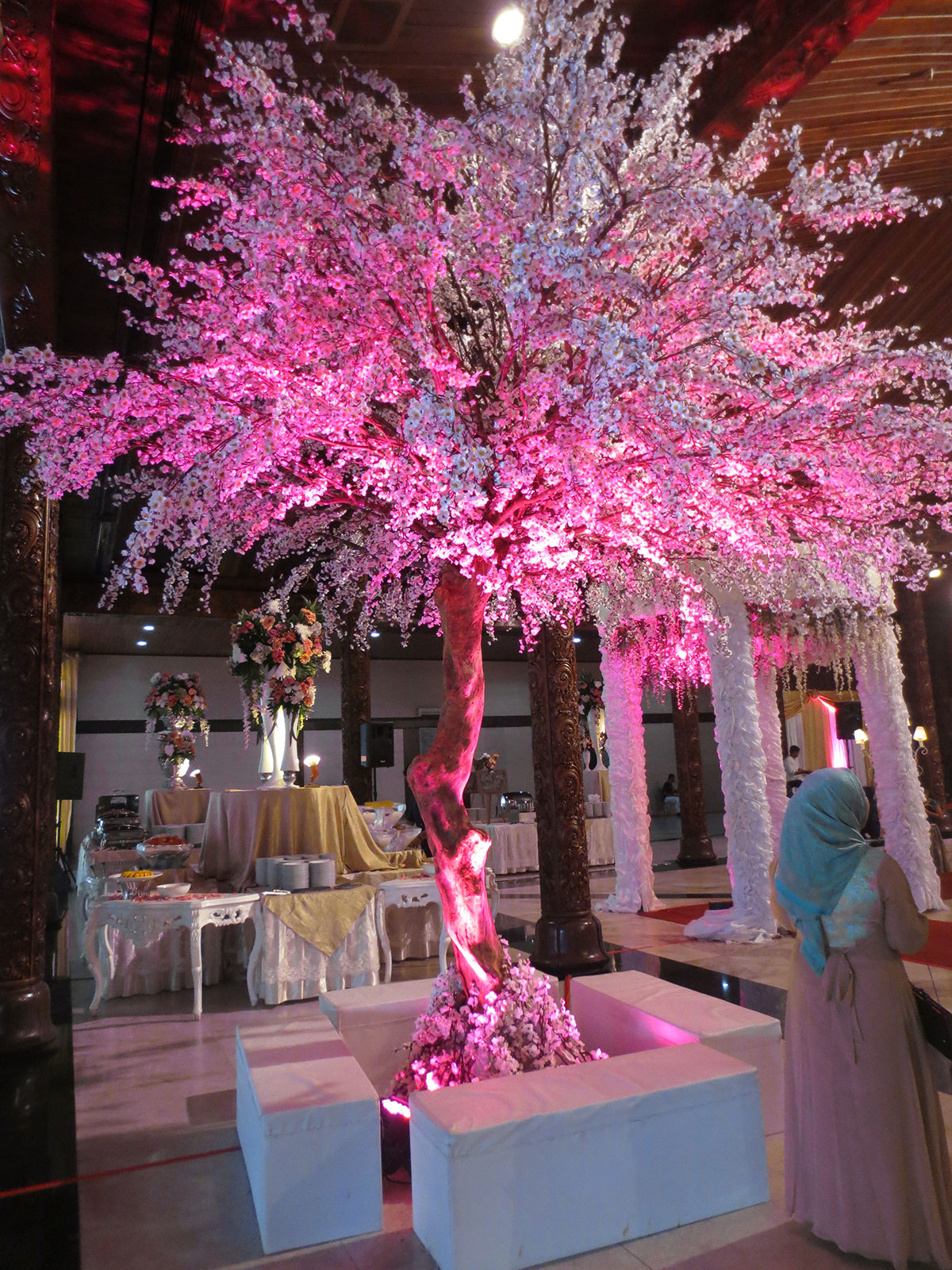 Pohon Maple & Sakura