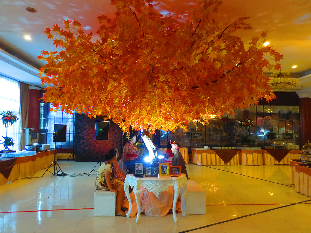 Pohon Maple & Sakura